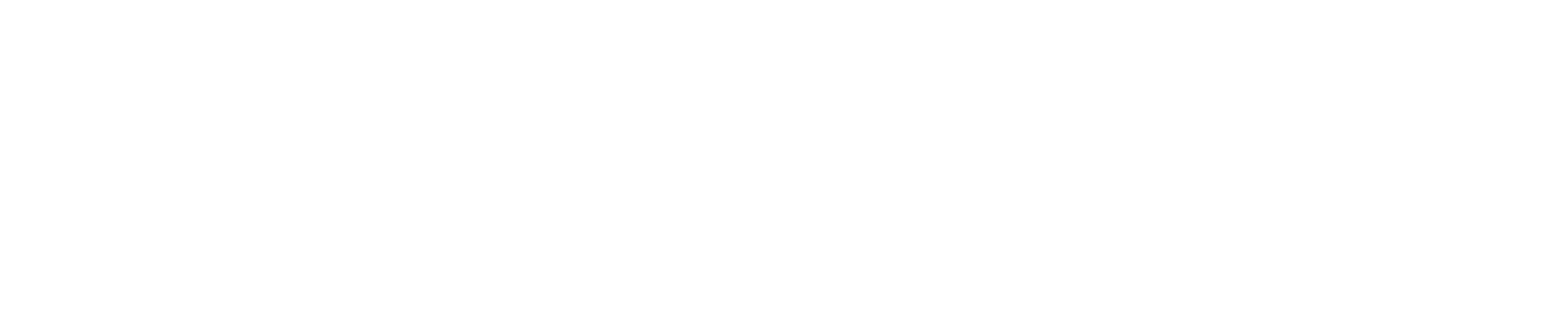 Nets Logotype